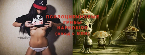 стаф Абинск