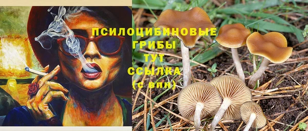 ПСИЛОЦИБИНОВЫЕ ГРИБЫ Абаза