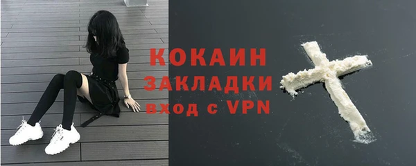 стаф Абинск