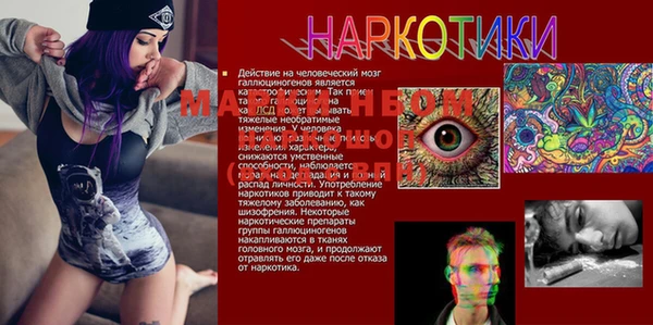 ПСИЛОЦИБИНОВЫЕ ГРИБЫ Абаза