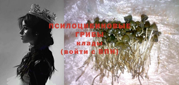 стаф Абинск