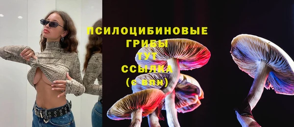 стаф Абинск