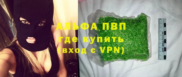 стаф Абинск