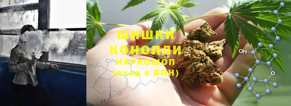 ПСИЛОЦИБИНОВЫЕ ГРИБЫ Абаза