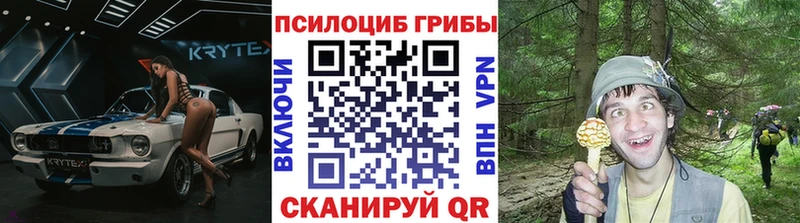 Псилоцибиновые грибы мицелий  Белоусово 